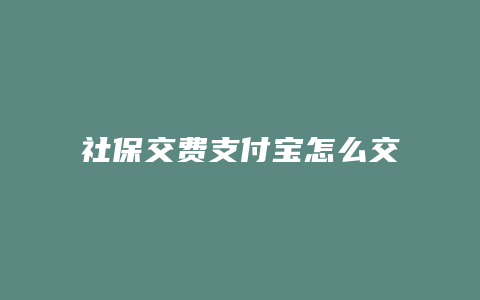 社保交费支付宝怎么交费