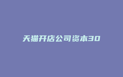 天猫开店公司资本30万