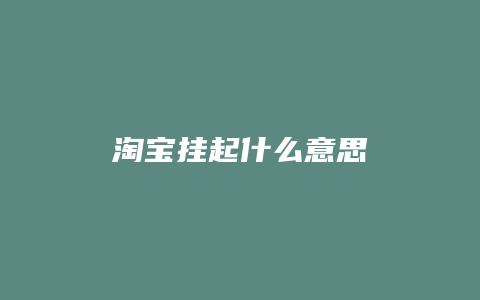 淘宝挂起什么意思