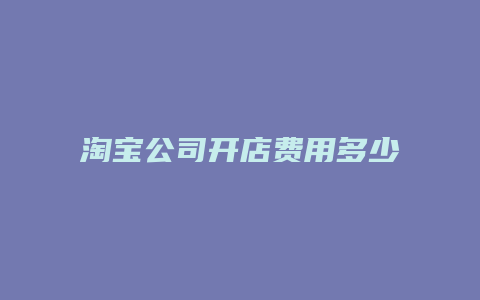 淘宝公司开店费用多少