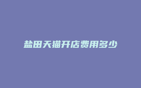 盐田天猫开店费用多少钱