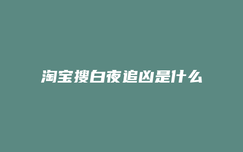 淘宝搜白夜追凶是什么