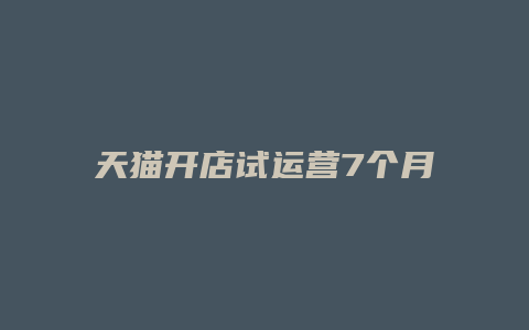 天猫开店试运营7个月