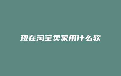 现在淘宝卖家用什么软件