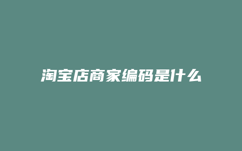 淘宝店商家编码是什么