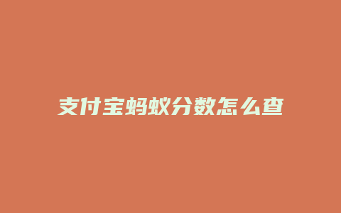 支付宝蚂蚁分数怎么查看