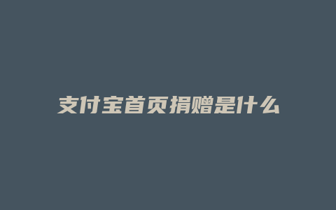 支付宝首页捐赠是什么