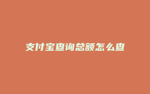 支付宝查询总额怎么查