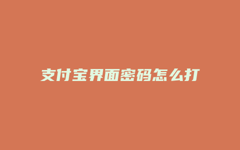 支付宝界面密码怎么打开