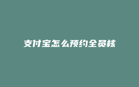 支付宝怎么预约全员核酸