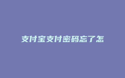 支付宝支付密码忘了怎么办