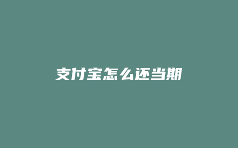 支付宝怎么还当期