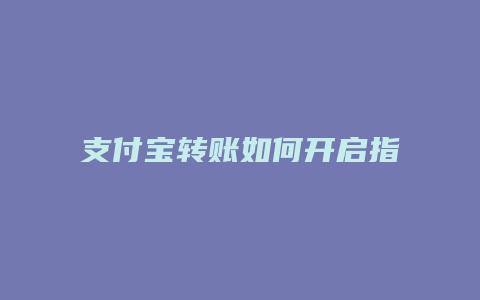 支付宝转账如何开启指纹