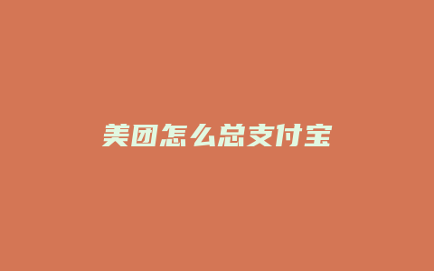 美团怎么总支付宝