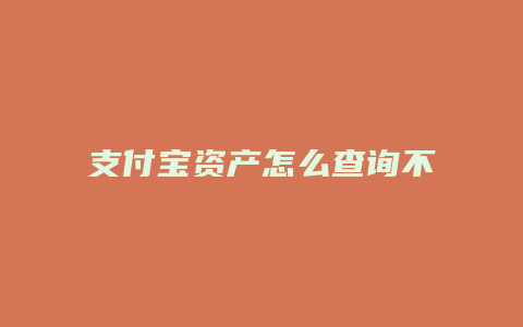 支付宝资产怎么查询不到