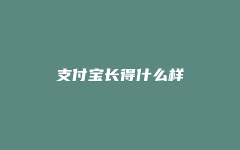 支付宝长得什么样