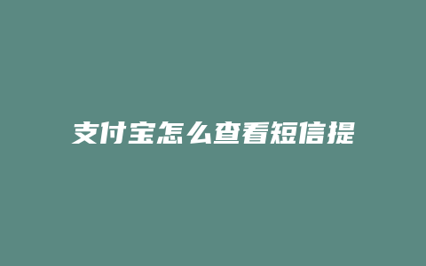 支付宝怎么查看短信提醒