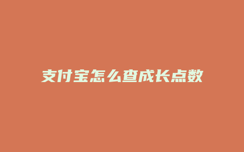 支付宝怎么查成长点数