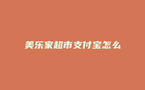 美乐家超市支付宝怎么付款