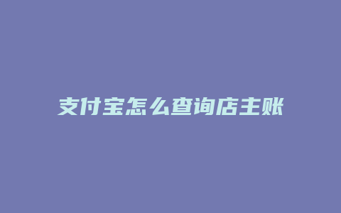 支付宝怎么查询店主账单