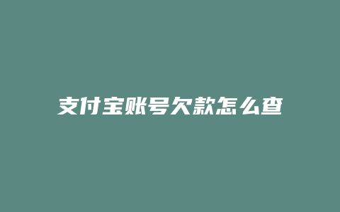 支付宝账号欠款怎么查询