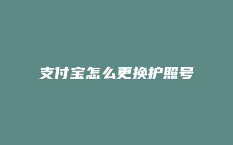 支付宝怎么更换护照号码