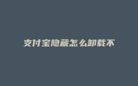 支付宝隐藏怎么卸载不掉