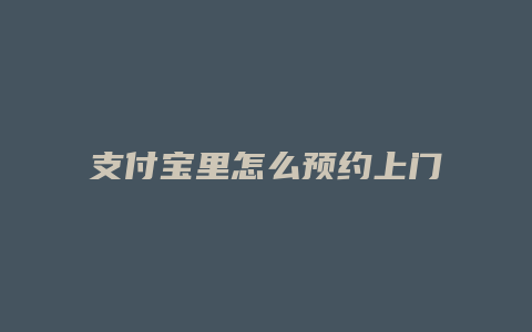 支付宝里怎么预约上门