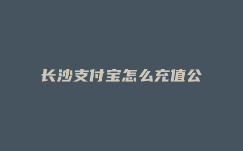 长沙支付宝怎么充值公交