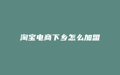 淘宝电商下乡怎么加盟