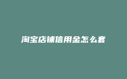 淘宝店铺信用金怎么套